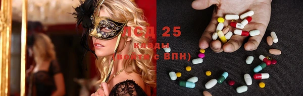 индика Абаза